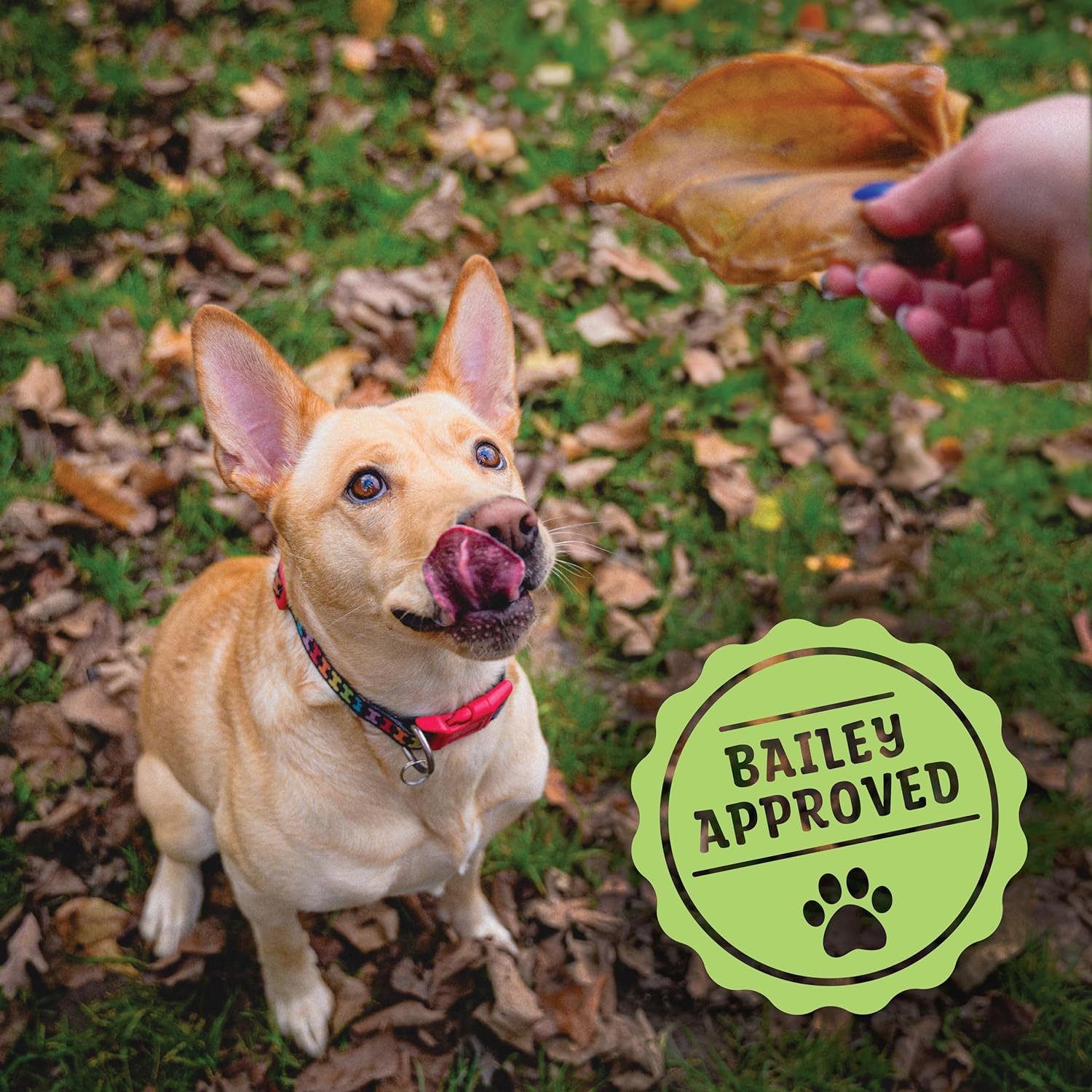 Pig Ears - 12 Count